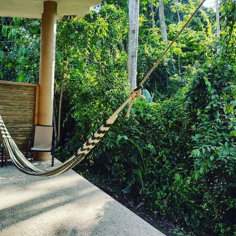 Canto De La Selva Jungle Lodge Selva Lacandona Chiapas Galaxia Extérieur photo